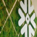Oportunidad única en una década: 1 acción de software de IA para comprar de forma práctica ahora mismo (Pista: no es Palantir)