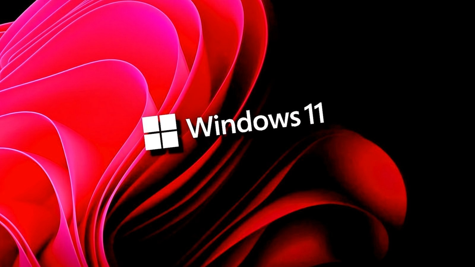 ventanas 11
